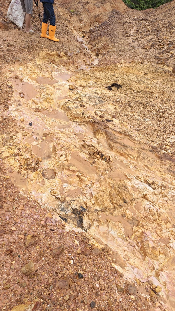 Gold and bauxite mining 30